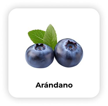 arandano